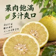 【極品】麻豆大白柚 20 斤裝